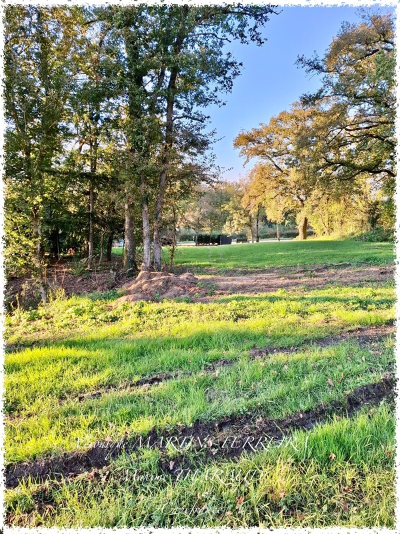 Photos 10 - Equestrian - Propriété à vendre 6 pièces 160m2 sur sa parcelle de 31 979m2 LIGNIERES (18)