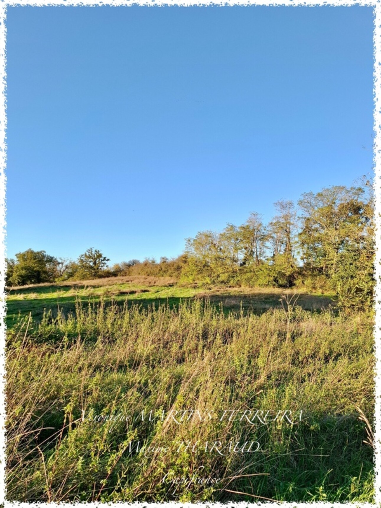 Photos 13 - Equestrian - Propriété à vendre 6 pièces 160m2 sur sa parcelle de 31 979m2 LIGNIERES (18)