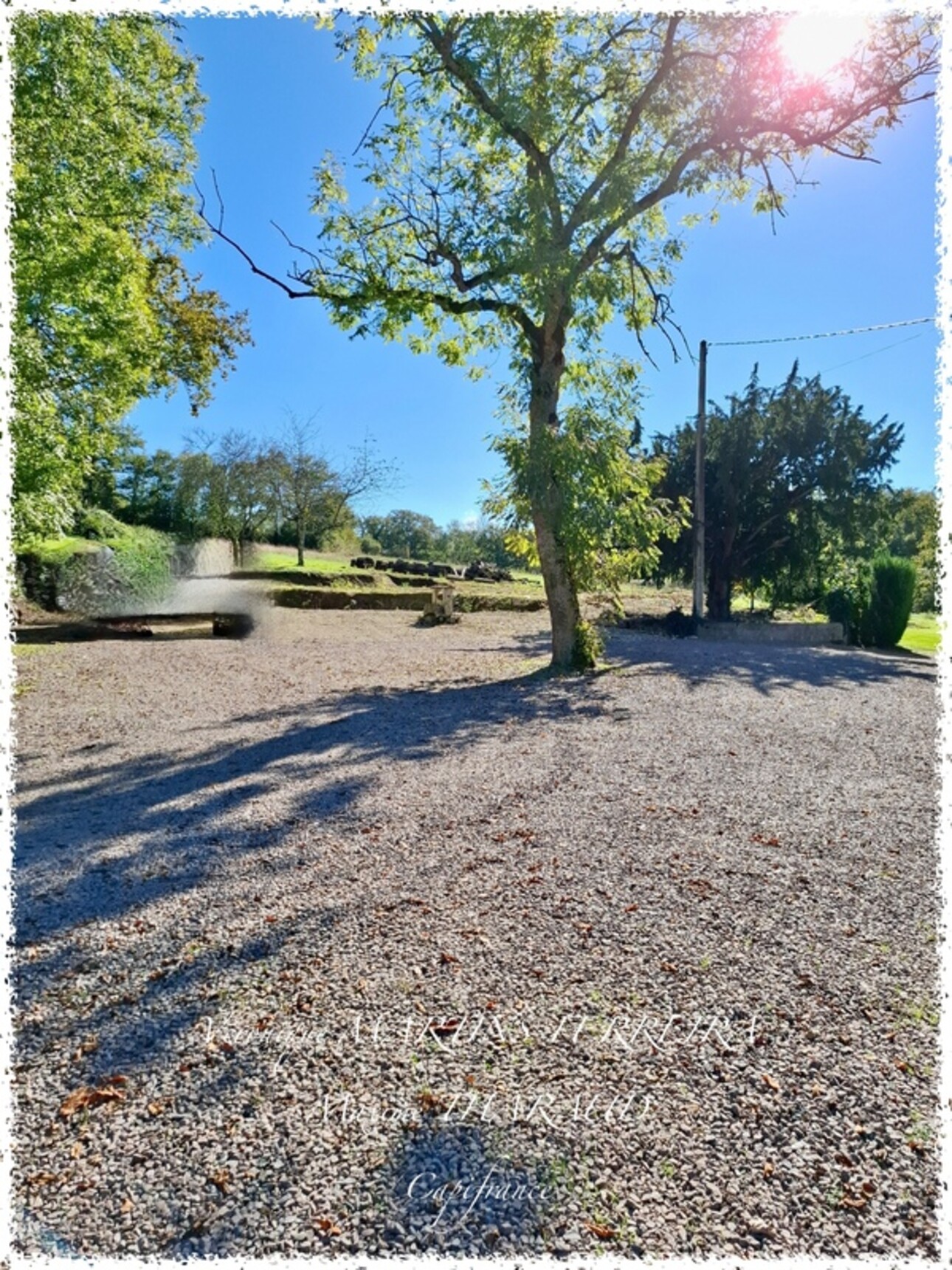 Photos 17 - Equestrian - Propriété à vendre 6 pièces 160m2 sur sa parcelle de 31 979m2 LIGNIERES (18)