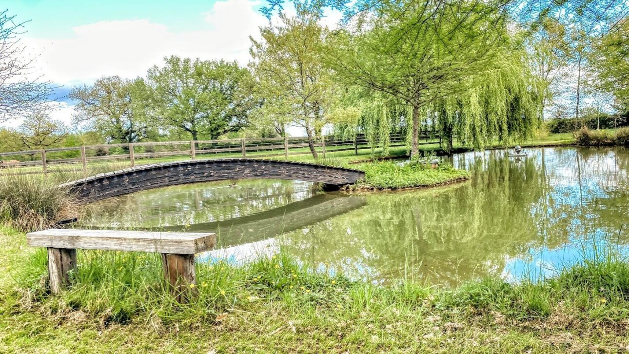 Photos 17 - Équestre - Haras / Equestre