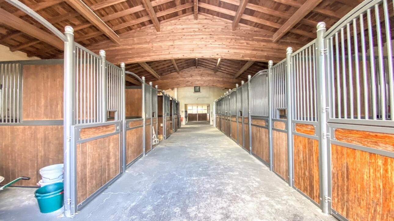 Photos 18 - Équestre - Haras / Equestre