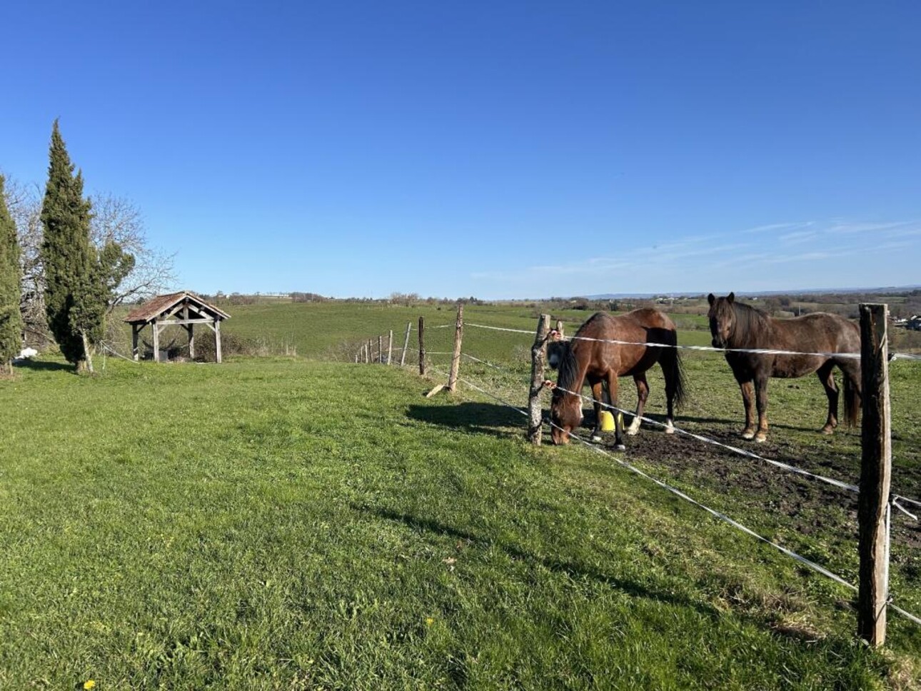 Photos 2 - Équestre - Corps de ferme