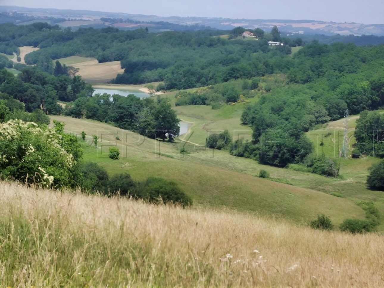 Photos 5 - Agricole - SUD-OUEST PROPRIETE AGRICOLE ET CHASSE 109 HA