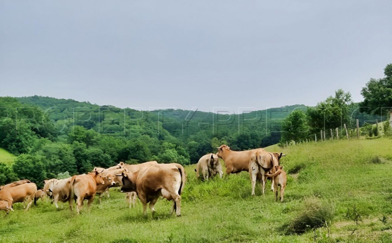 Photos 9 - Agricole - SUD-OUEST PROPRIETE AGRICOLE ET CHASSE 109 HA