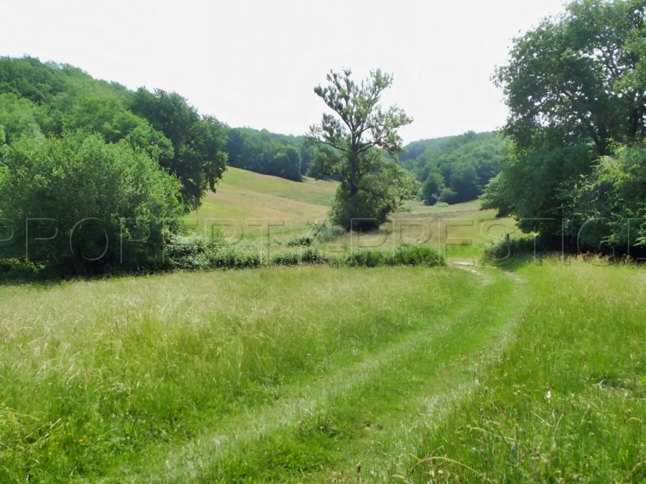 Photos 10 - Agricole - SUD-OUEST PROPRIETE AGRICOLE ET CHASSE 109 HA