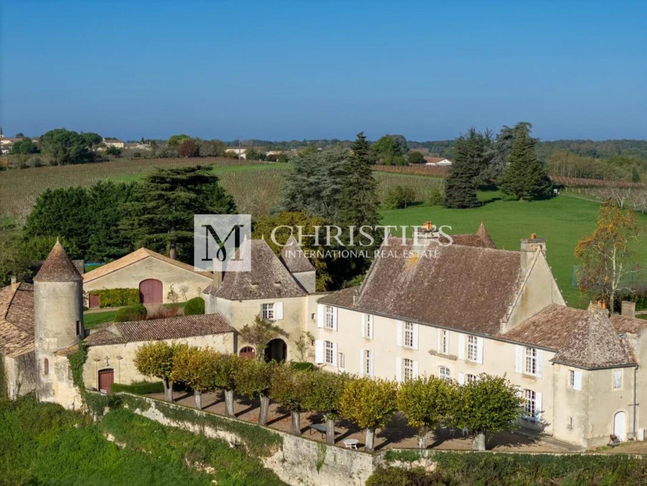 Photos 1 - Prestigious - Near Saint-Emilion - Exceptional historic Château surrounded by 112 ha including park with swimming