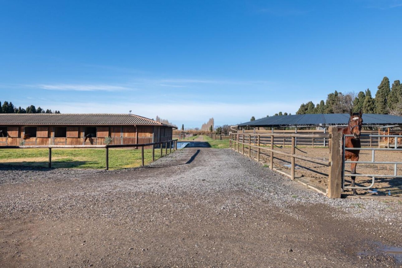 Photos 5 - Equestrian - Propriété Équestre d'Excellence - 5 Hectares aux Portes d