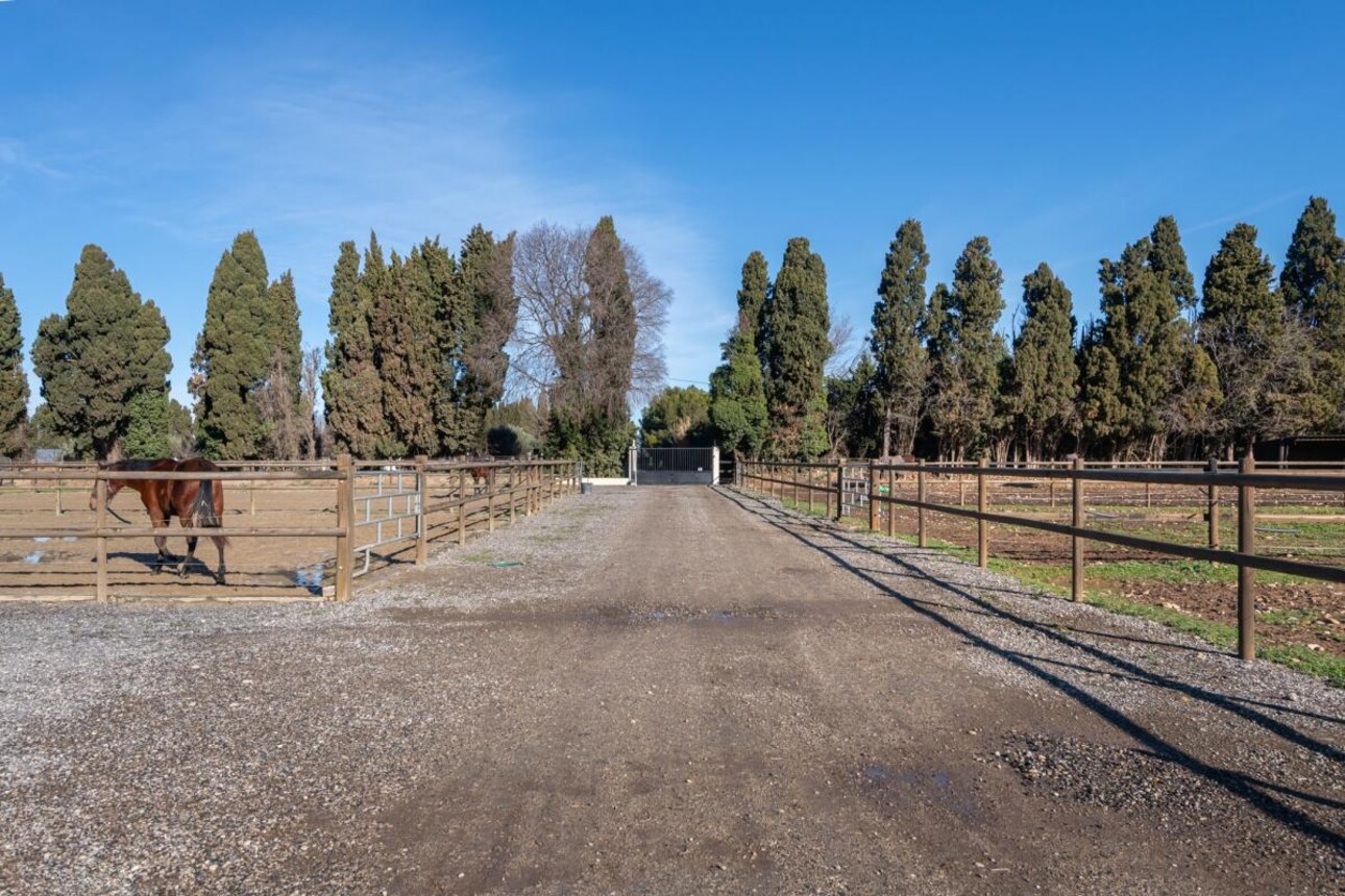 Photos 6 - Equestrian - Propriété Équestre d'Excellence - 5 Hectares aux Portes d