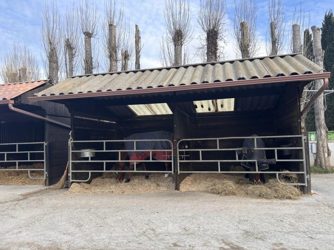 Photos 7 - Equestrian - Propriété Équestre d'Excellence - 5 Hectares aux Portes d