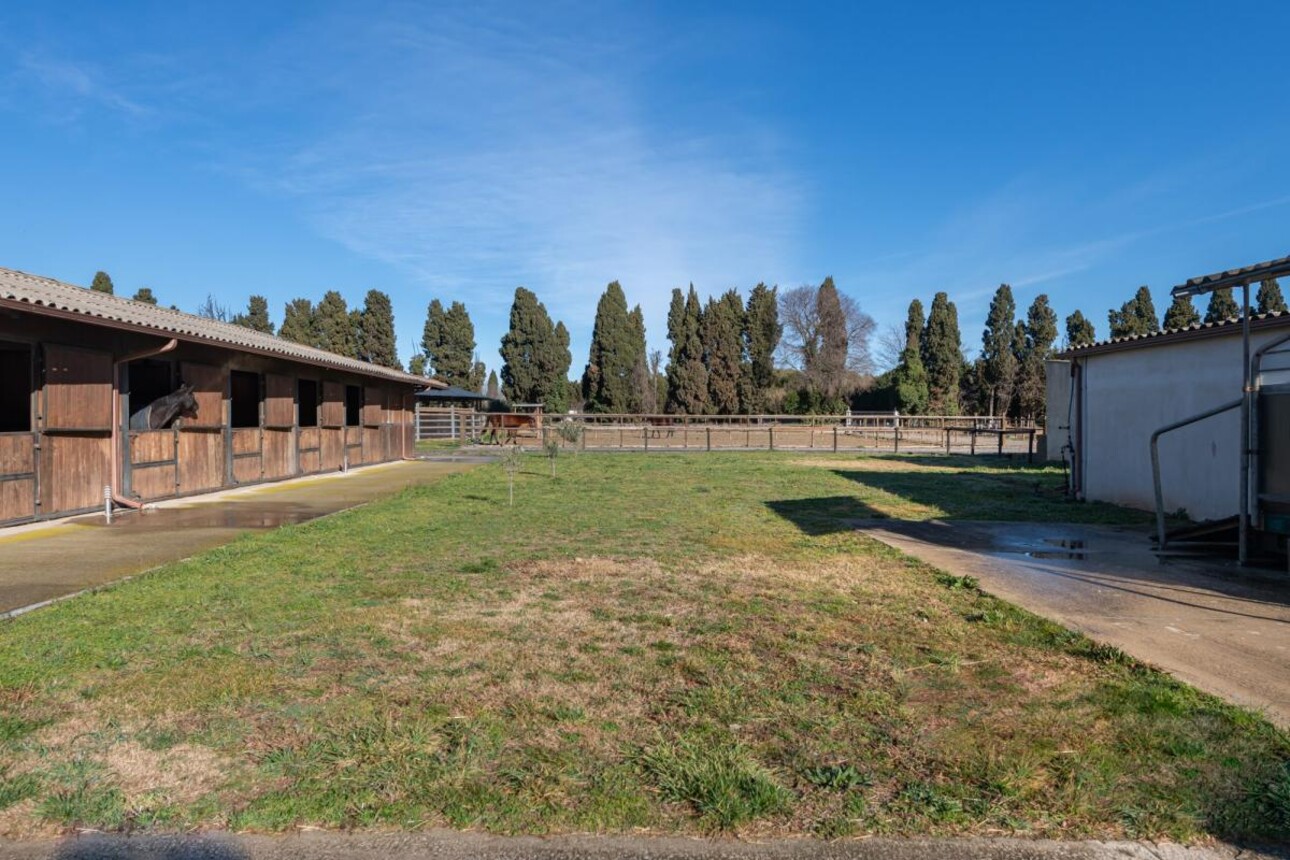 Photos 12 - Equestrian - Propriété Équestre d'Excellence - 5 Hectares aux Portes d