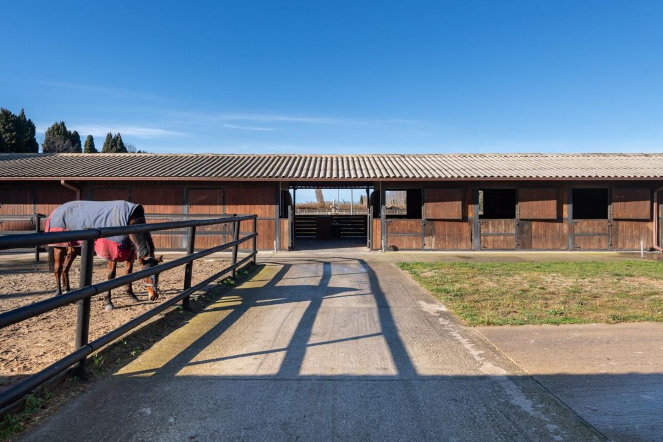 Photos 13 - Equestrian - Propriété Équestre d'Excellence - 5 Hectares aux Portes d