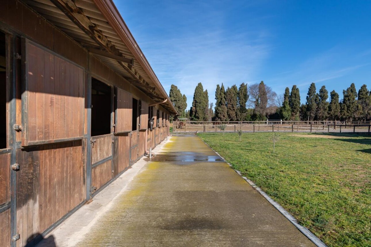 Photos 14 - Equestrian - Propriété Équestre d'Excellence - 5 Hectares aux Portes d