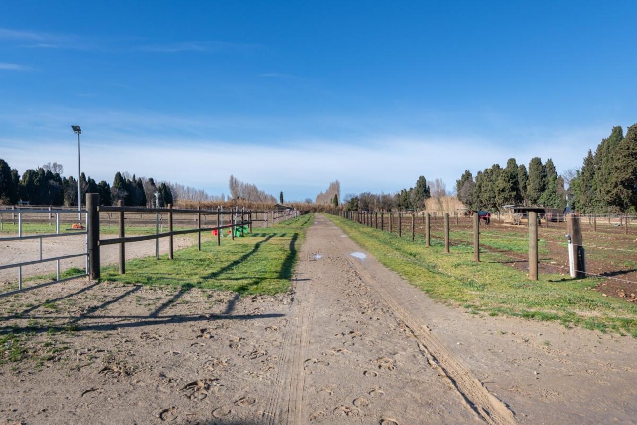 Photos 19 - Equestrian - Propriété Équestre d'Excellence - 5 Hectares aux Portes d