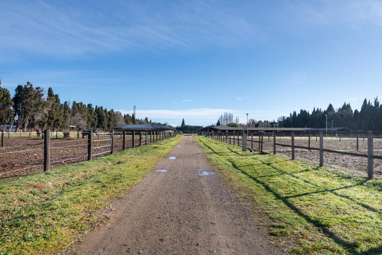 Photos 20 - Equestrian - Propriété Équestre d'Excellence - 5 Hectares aux Portes d