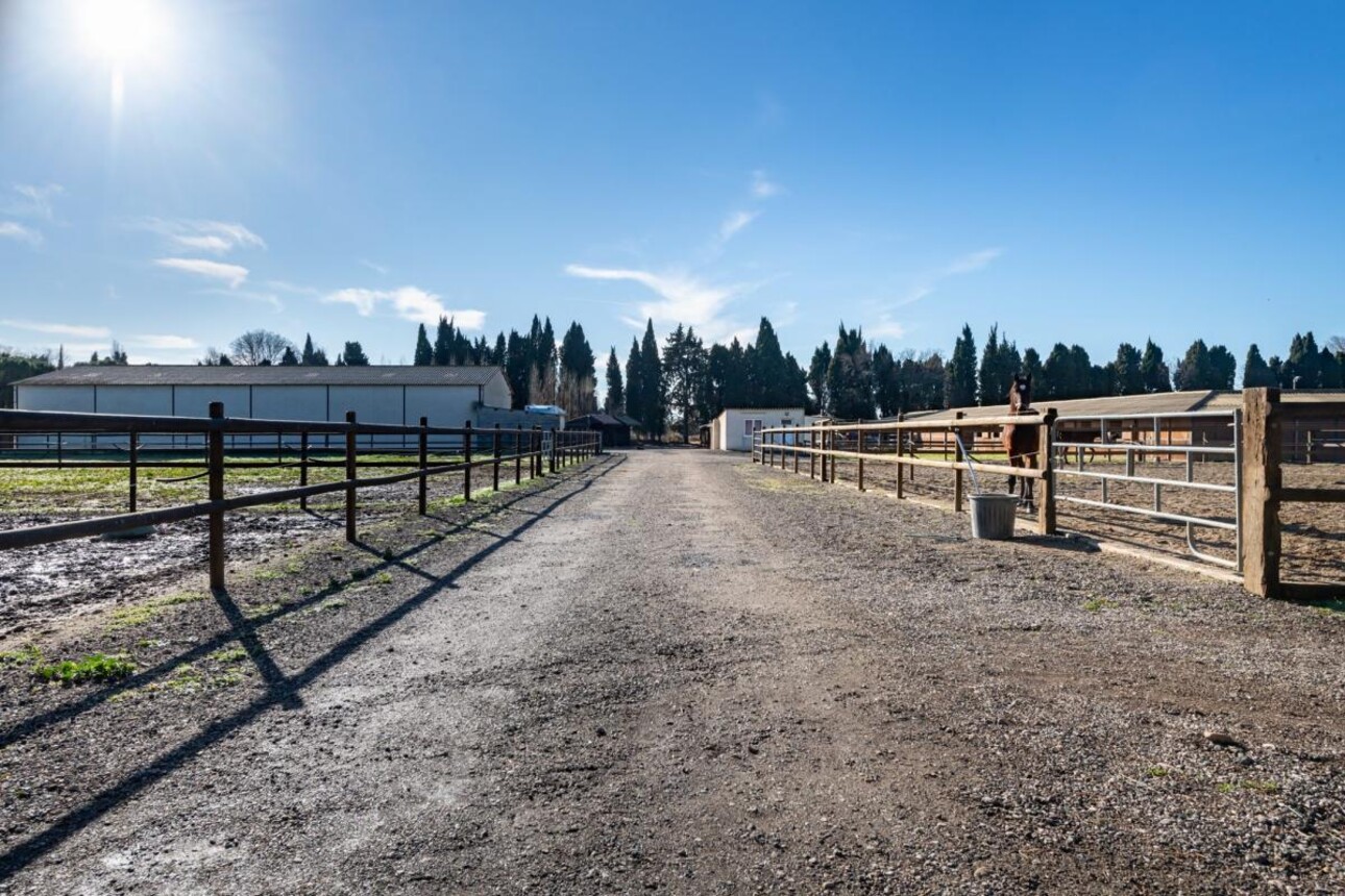 Photos 30 - Equestrian - Propriété Équestre d'Excellence - 5 Hectares aux Portes d