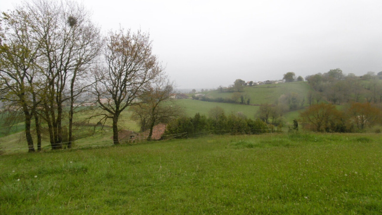 Photos 9 - Touristique - Dpt Landes (40), à vendre GEAUNE propriete P5  - Terrain de 18 770,00 m²