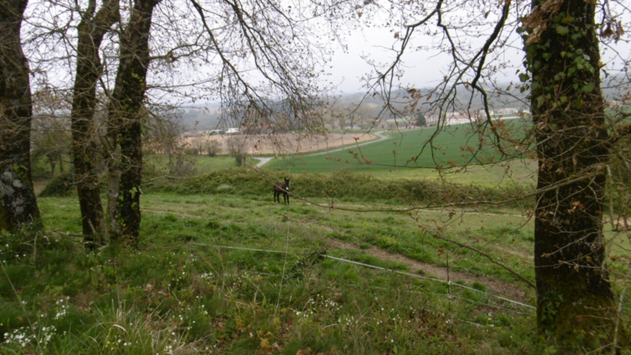 Photos 18 - Touristique - Dpt Landes (40), à vendre GEAUNE propriete P5  - Terrain de 18 770,00 m²