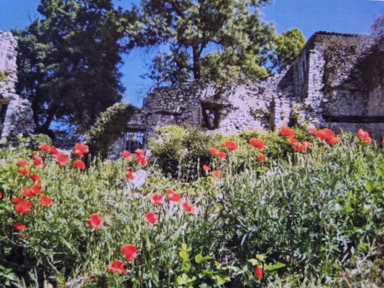 Photos 6 - Tourist - Propriété avec terrain