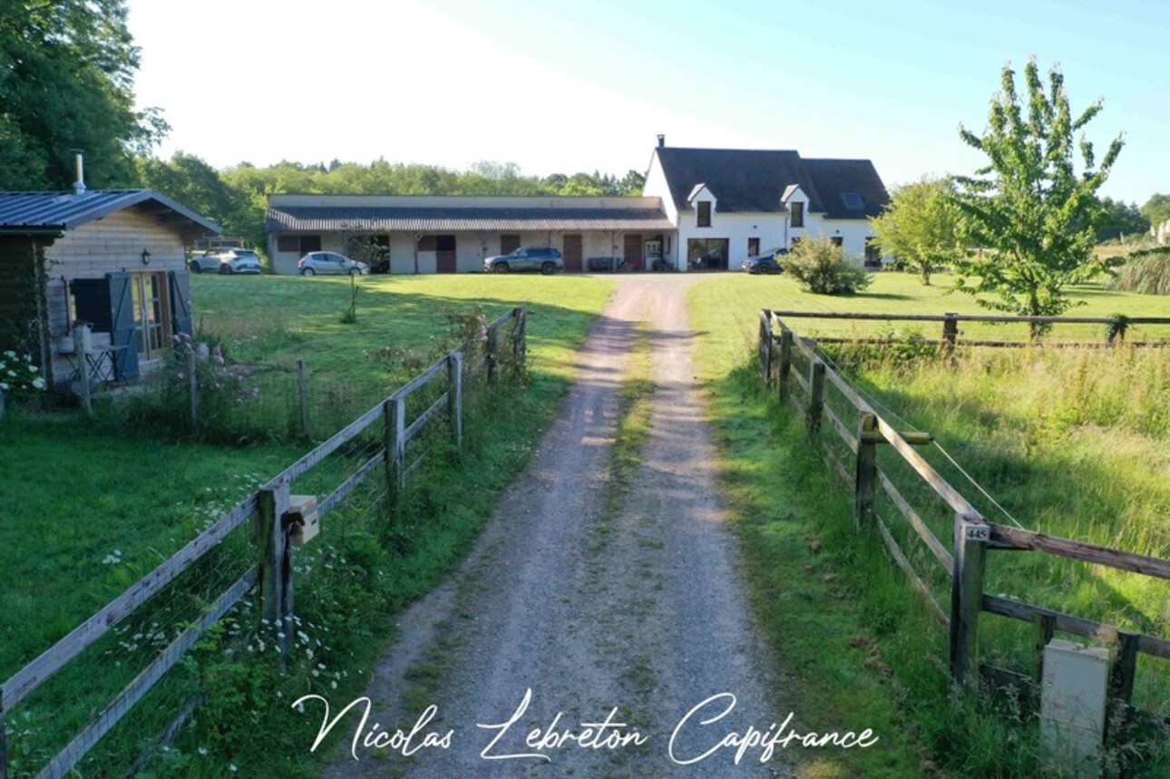 Photos 2 - Equestrian - Equestrian property on 12.5 hectares