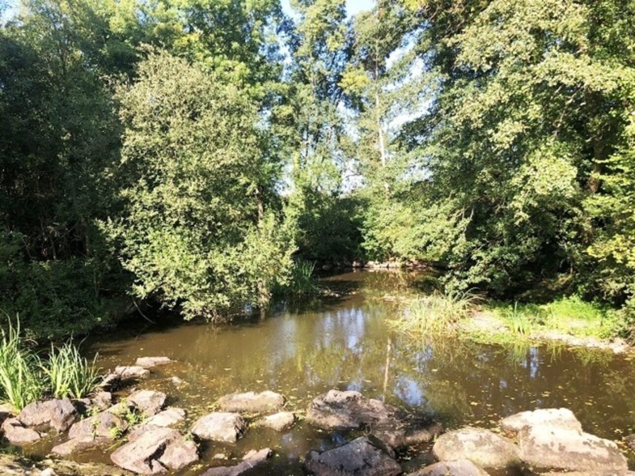 Photos 12 - Touristique - Propriété Moulin à 422 m² ROCHESERVIERE (85)