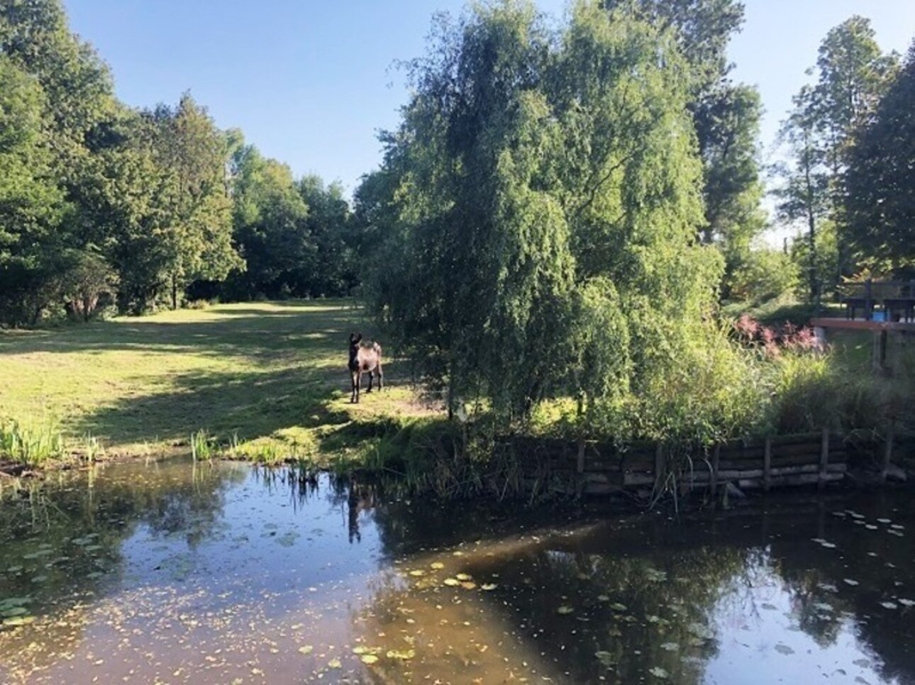 Photos 14 - Touristique - Propriété Moulin à 422 m² ROCHESERVIERE (85)