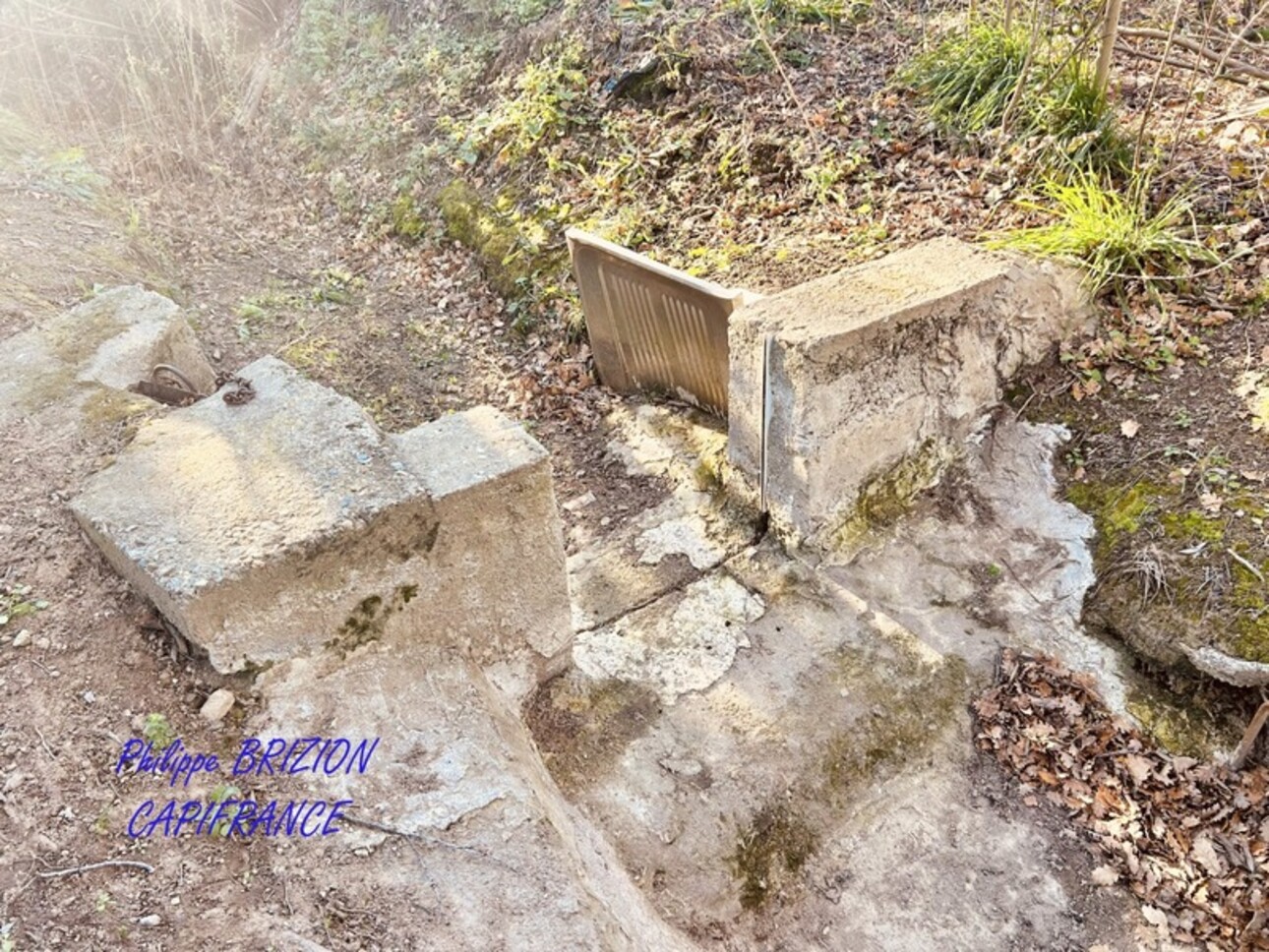 Photos 5 - Foncière - Terrain de loisir à vendre  VILLELONGUE DELS MONTS (66)