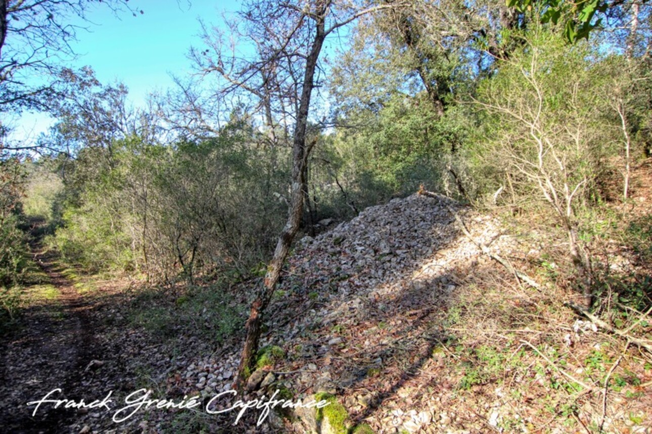 Photos 5 - Forestière - Terrain naturel à vendre  TOURVES (83)