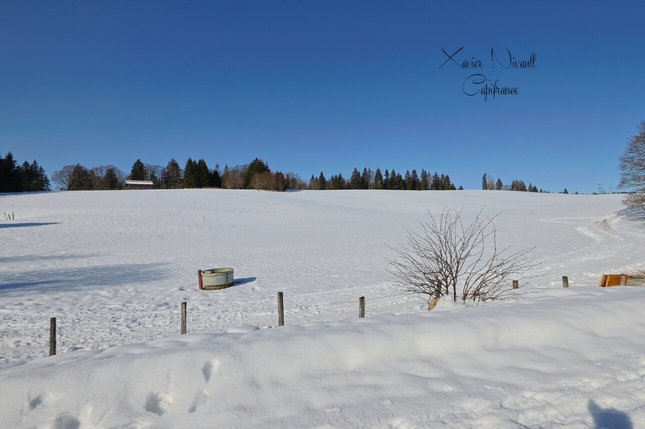 Photos 27 - Touristique - Propriete à vendre 15 pièces LE GRAND ABERGEMENT (01)