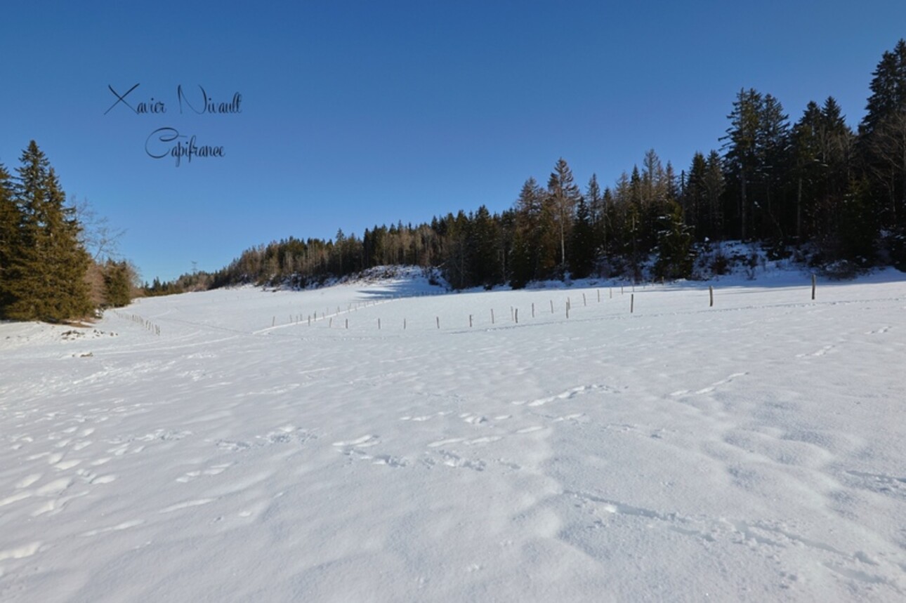 Photos 28 - Touristique - Propriete à vendre 15 pièces LE GRAND ABERGEMENT (01)