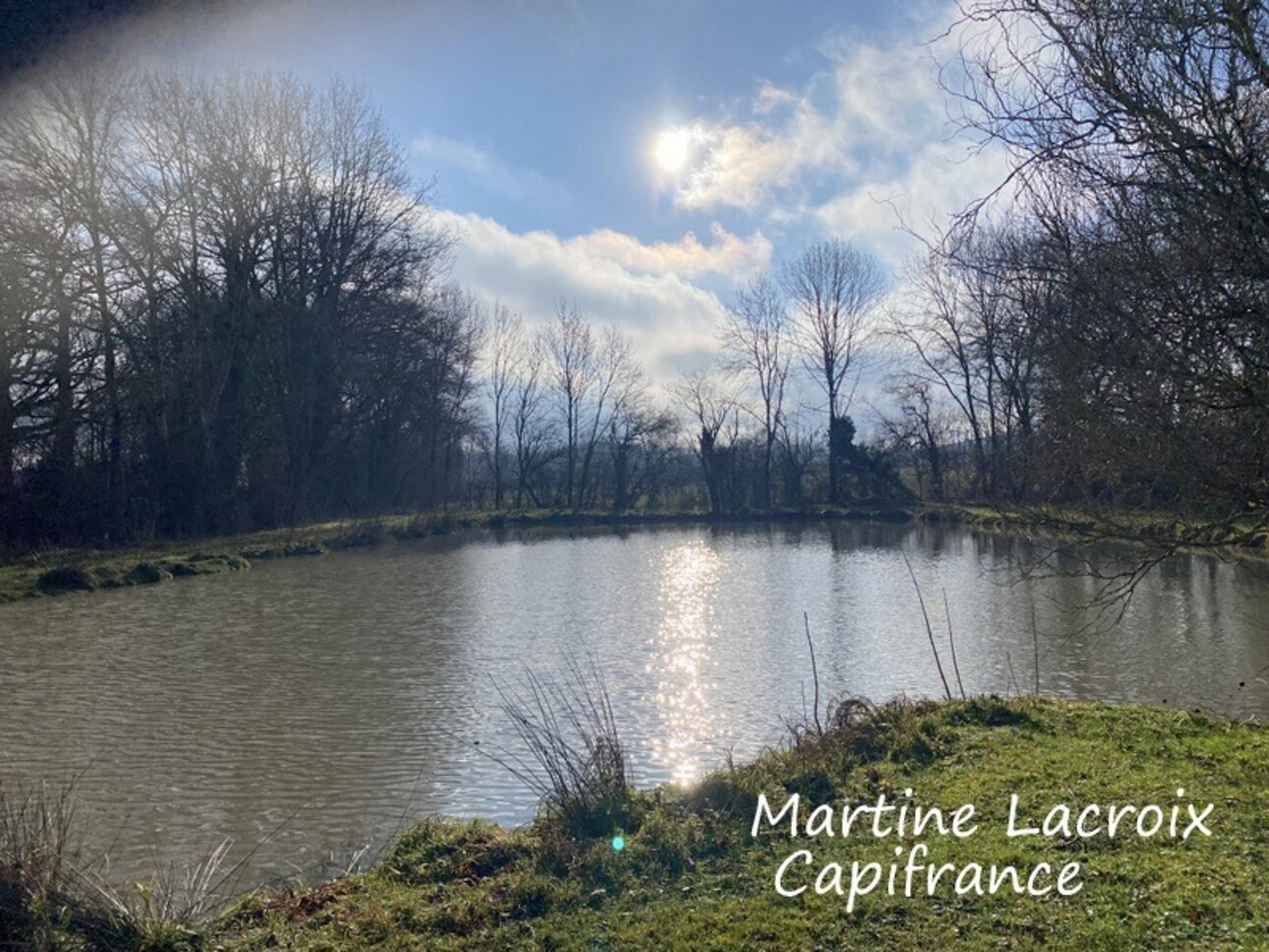 Photos 16 - Equestrian - Dpt SARTHE (72), for sale near LA FERTE BERNARD - P8 PROPERTY of 226 m² - Land of 2.50 Ha