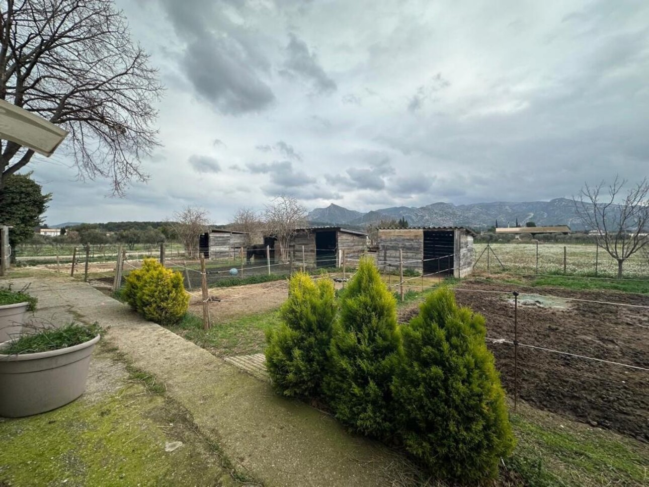 Photos 9 - Équestre - Bastide de Charme avec écuries - Aubagne (13)