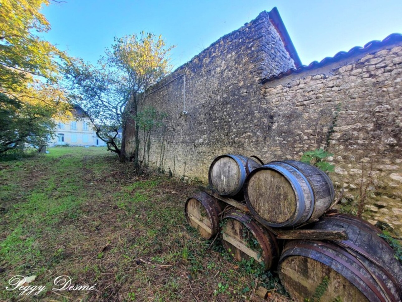 Photos 19 - Prestige - Propriété à vendre 14 pièces SAINT JEAN D'ANGELY (17) - Ancien domaine viticole, Maison de maître, Dépendances