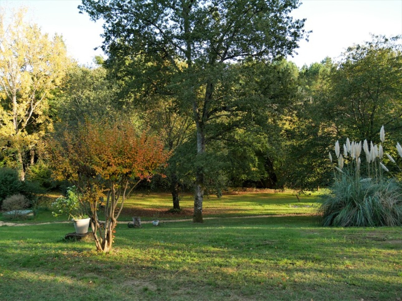 Photos 18 - Touristique - Propriete à vendre 11 pièces LE BUISSON DE CADOUIN (24)