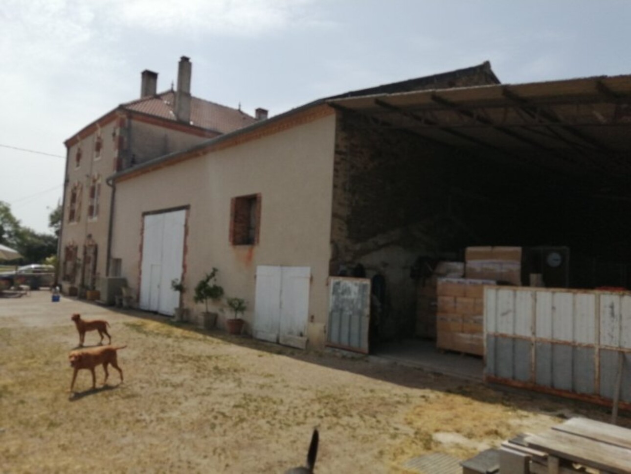 Photos 2 - Équestre - Maison de campagne