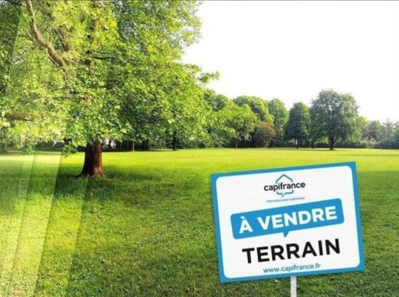 Photos 1 - Forestière - Terrain à vendre de 3 471,00 m² AISY SUR ARMANCON (89)