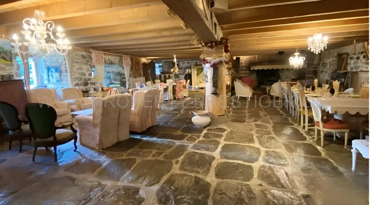 Photos 16 - Touristique - HAUTE LOIRE PROPRIETE GITE CH. HOTES 1000 M² 6 HA