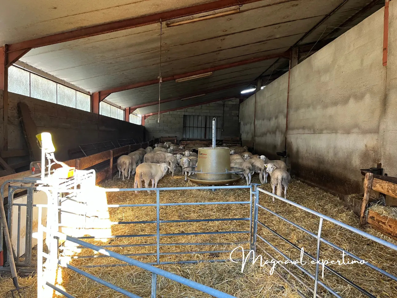 Photos 6 - Agricole - A céder exploitation d’élevage ovin 220 HA SAU dans le LOT 46 OCCITANIE