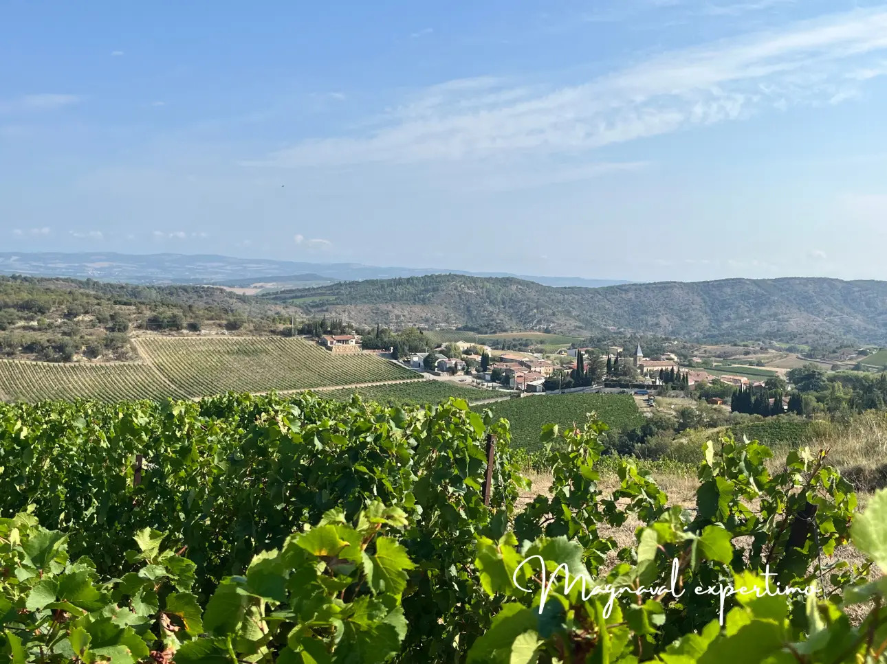 Photos 1 - Viticole - Domaine Viticole IGP Limoux certifié AB de 34Ha avec cave et 2 habitations