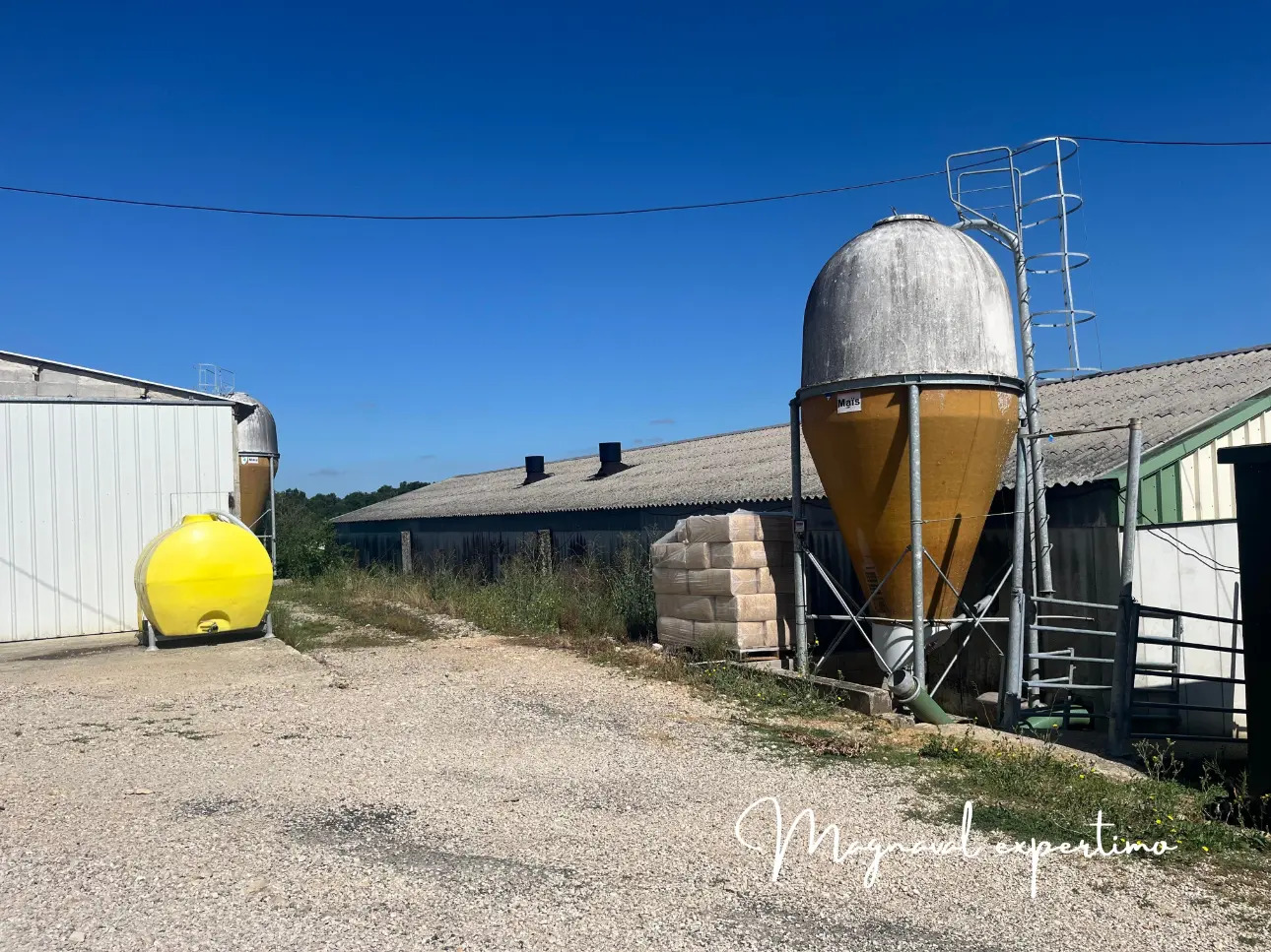 Photos 3 - Agricole - Ideal jeune éleveur passionné, affaire à saisir atelier 440 Veaux de boucherie Tarn et Garonne