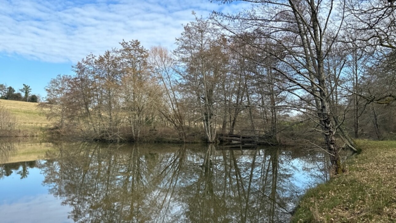 Photos 25 - Touristique - Propriété à vendre 10 pièces proche de BERGERAC (24), gîtes, étang, piscine 8 hectares