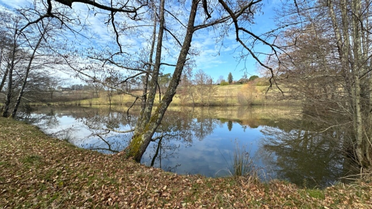 Photos 26 - Touristique - Propriété à vendre 10 pièces proche de BERGERAC (24), gîtes, étang, piscine 8 hectares