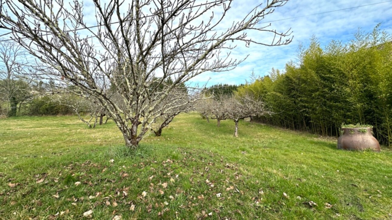 Photos 27 - Touristique - Propriété à vendre 10 pièces proche de BERGERAC (24), gîtes, étang, piscine 8 hectares