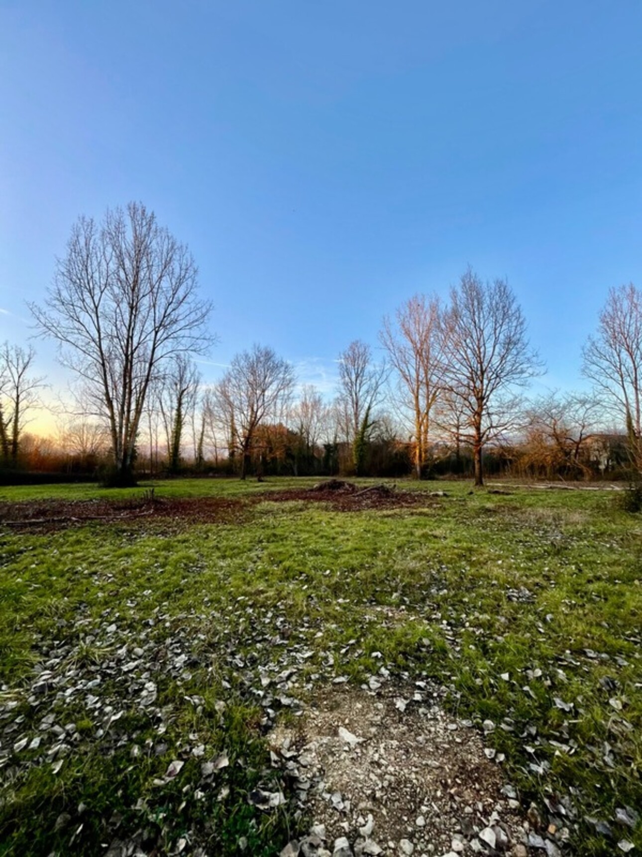 Photos 5 - Foncière - Terrain à vendre de 16 822m2 à MONTAUBAN(82000)