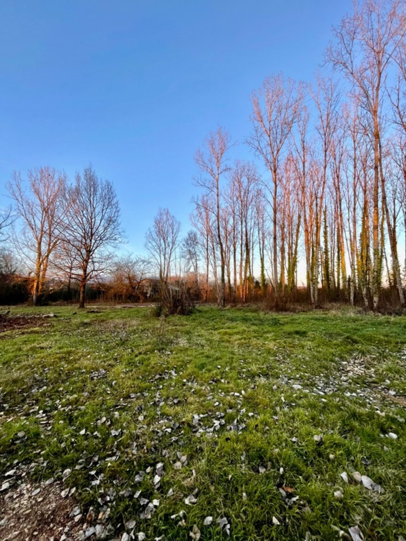 Photos 7 - Foncière - Terrain à vendre de 16 822m2 à MONTAUBAN(82000)