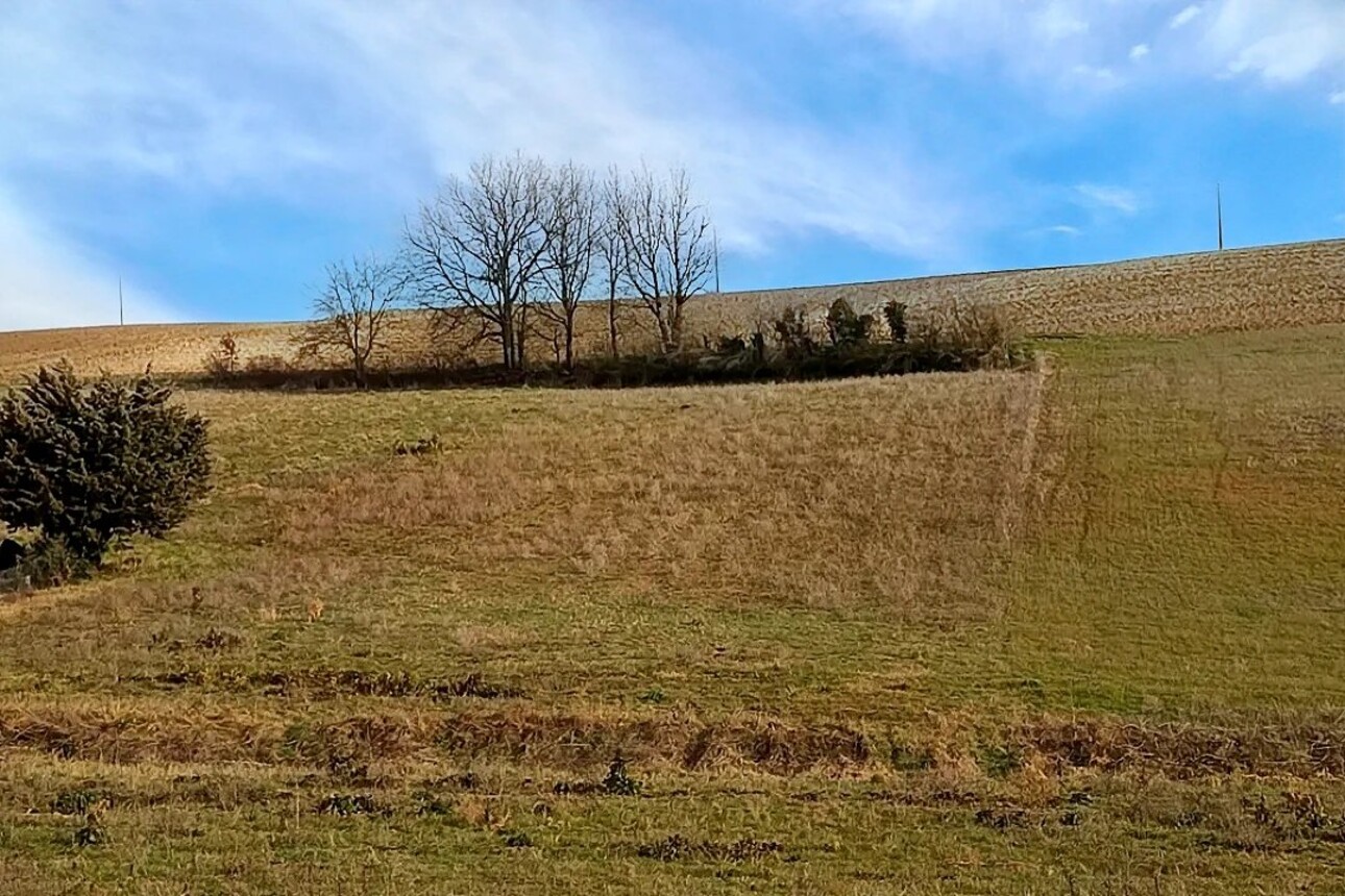 Photos 1 - Foncière - Terrain agricole