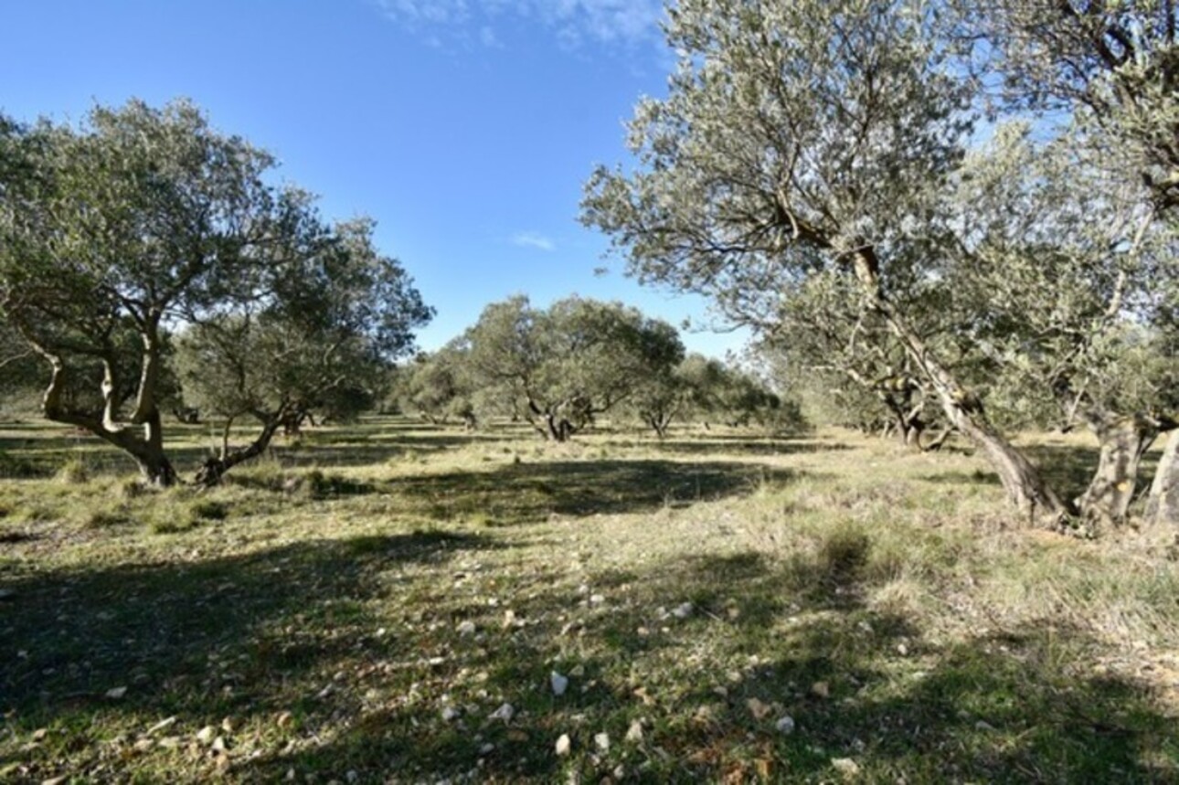 Photos 1 - Agricole - Terrain à vendre  FONTVIEILLE (13)