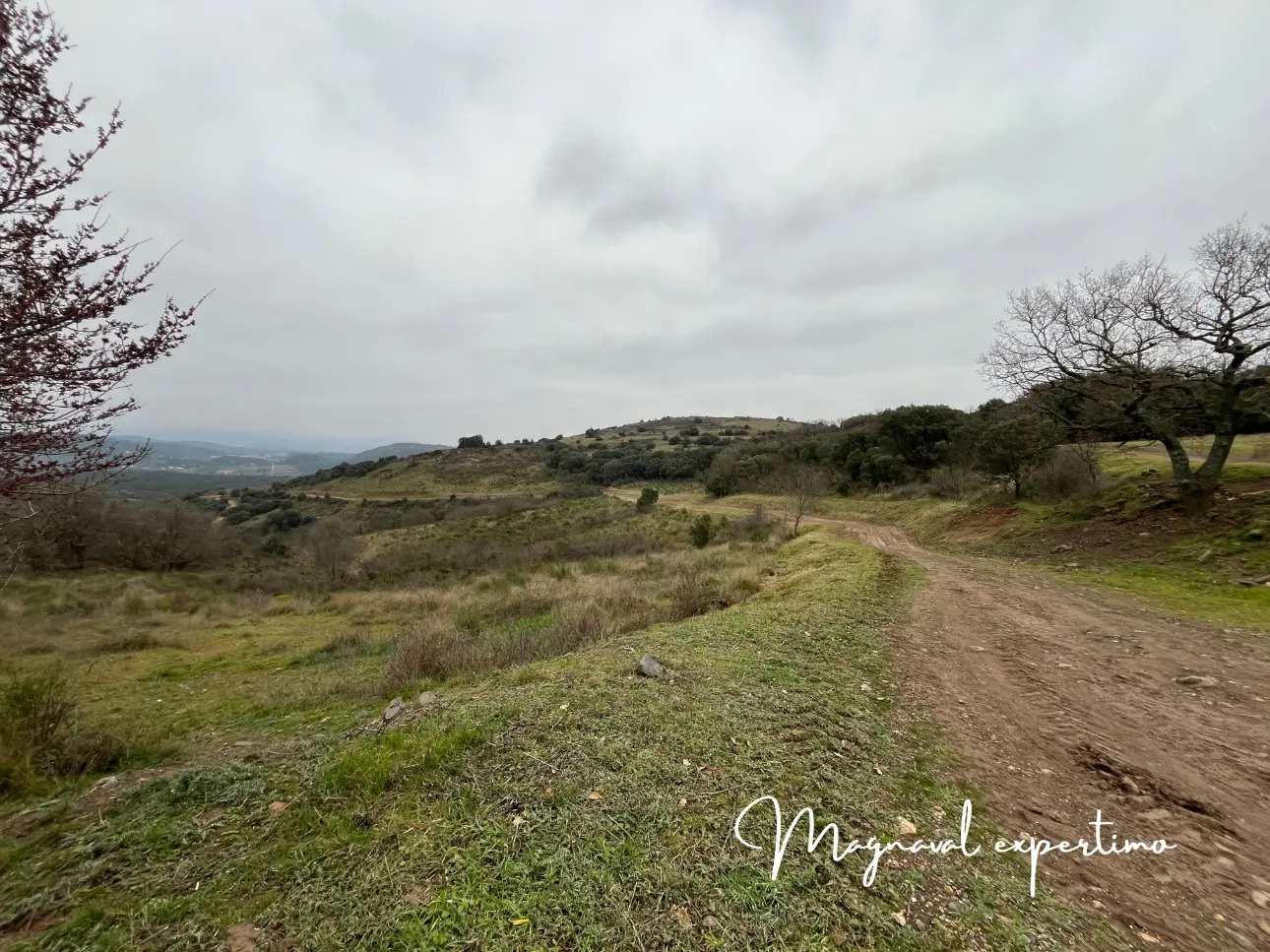 Photos 5 - Agricultural - Sale 150 ha for pastoral and tourist activity in a Mediterranean natural park