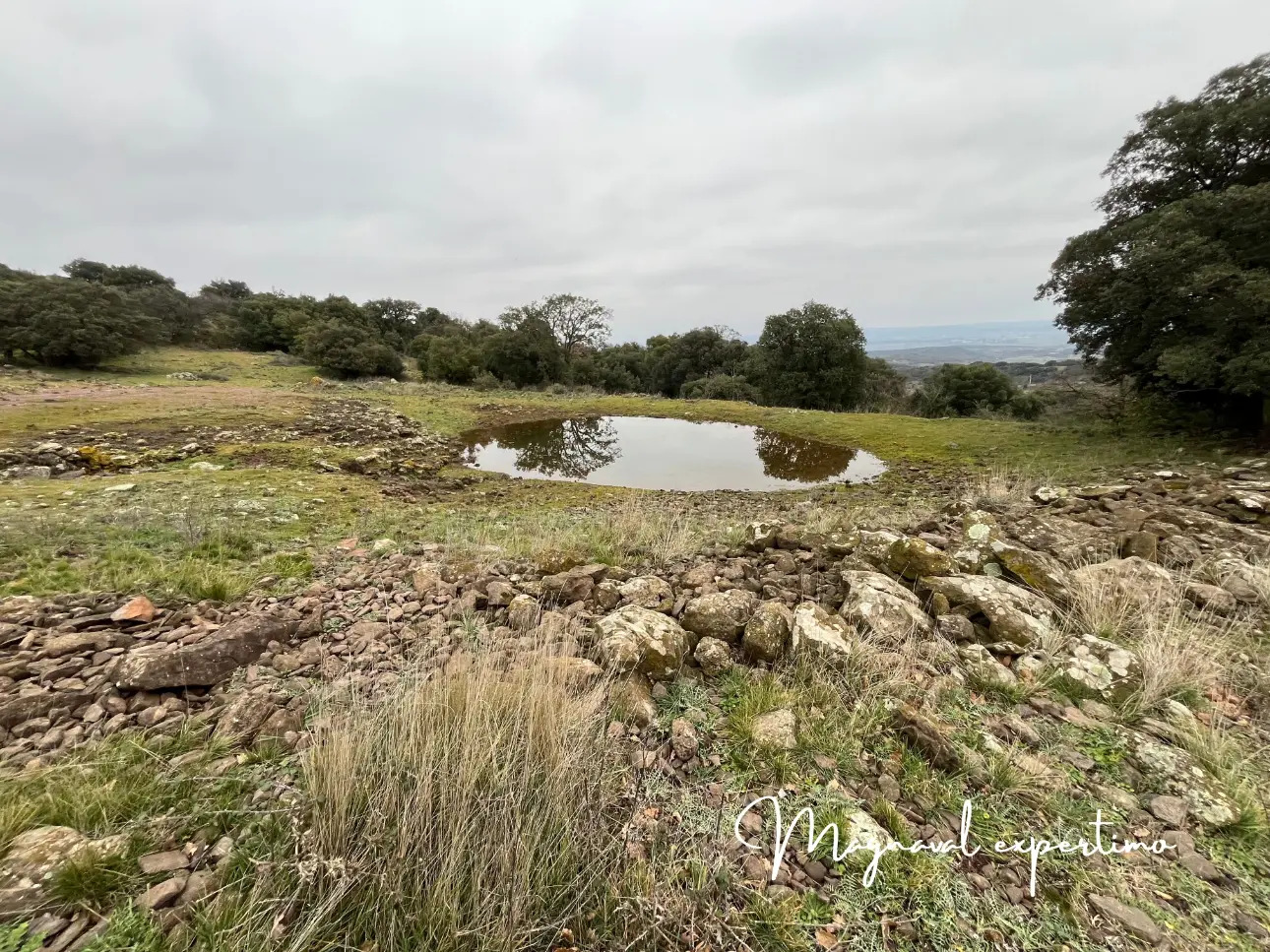 Photos 6 - Agricultural - Sale 150 ha for pastoral and tourist activity in a Mediterranean natural park