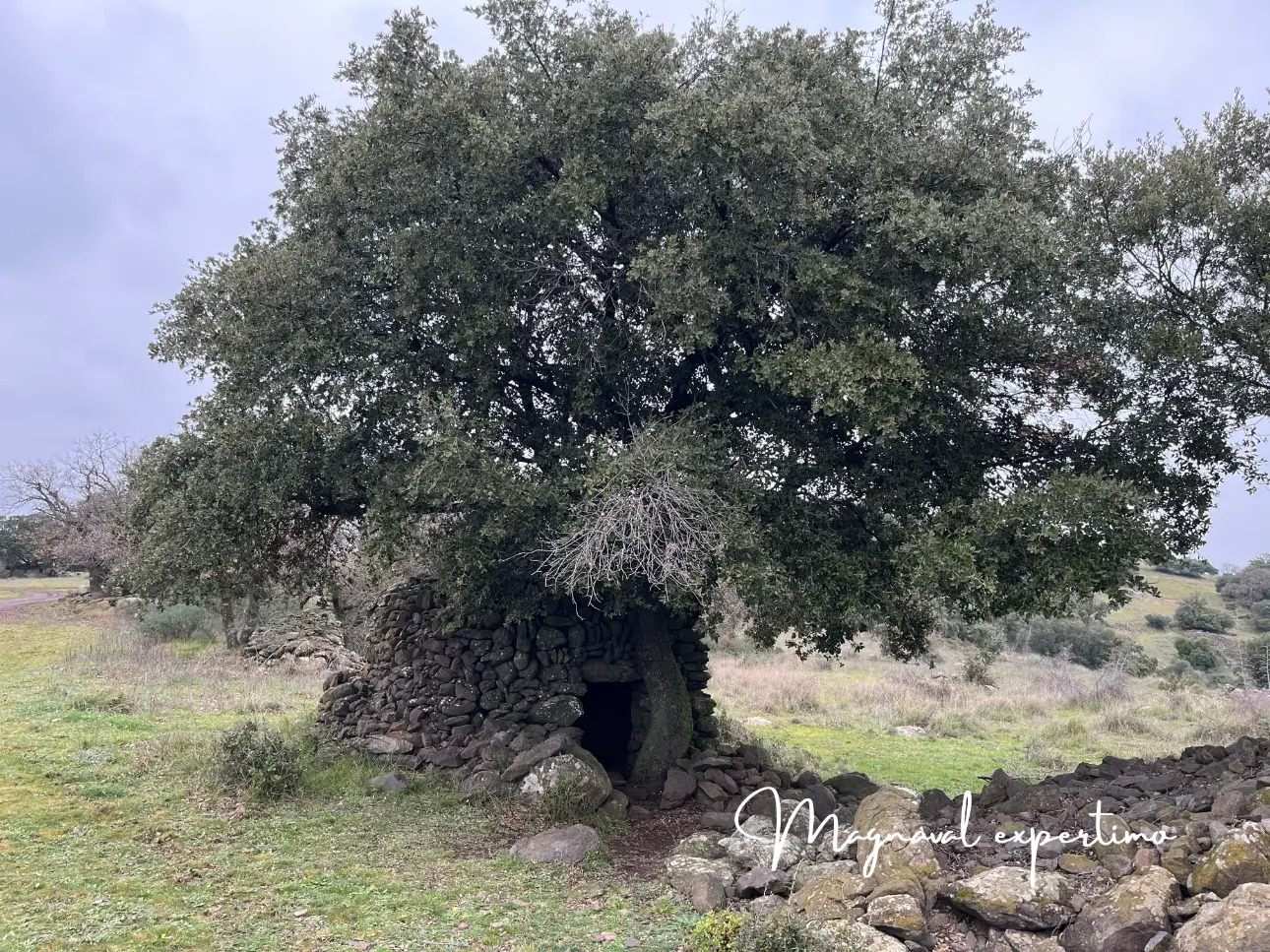 Photos 7 - Agricultural - Sale 150 ha for pastoral and tourist activity in a Mediterranean natural park