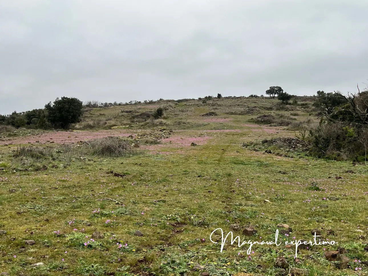 Photos 8 - Agricultural - Sale 150 ha for pastoral and tourist activity in a Mediterranean natural park